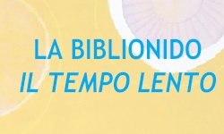 Biblionido - 