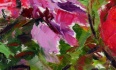 M i colori della gioia_compressed