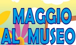 maggiomuseo - 