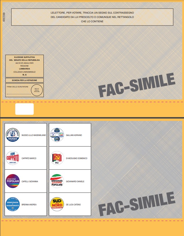 fac-simile scheda suppletiva