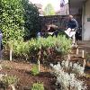 pulizie di primavera 2019